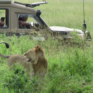 6 Days Kenya Wildlife Adventure: Lake Elementaita, Nakuru & Masai Mara